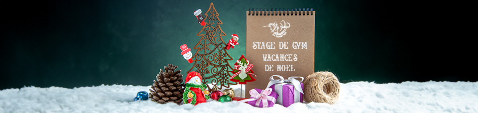 stage-noel-gym960